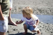 There are lots of seashells to find