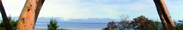 The View