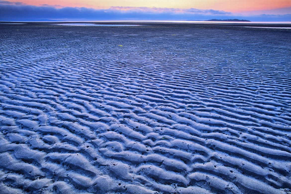 Rathtrevor Beach at Beach Acres Resort