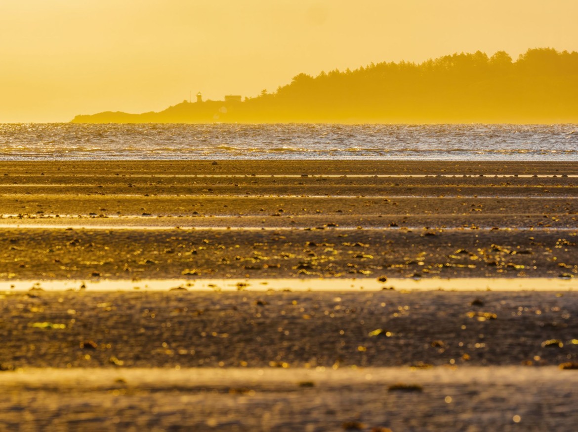 Rathtrevor Beach