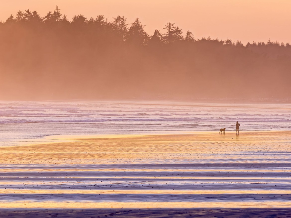 Tofino